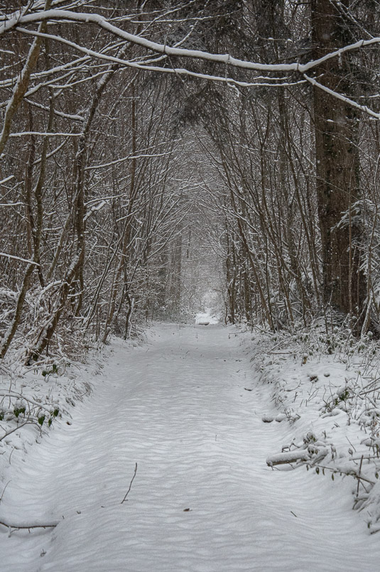 Neige 07.01.2026 -3-.jpg