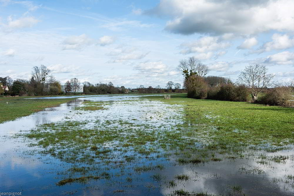 N1 la prairie dans l eau.JPG