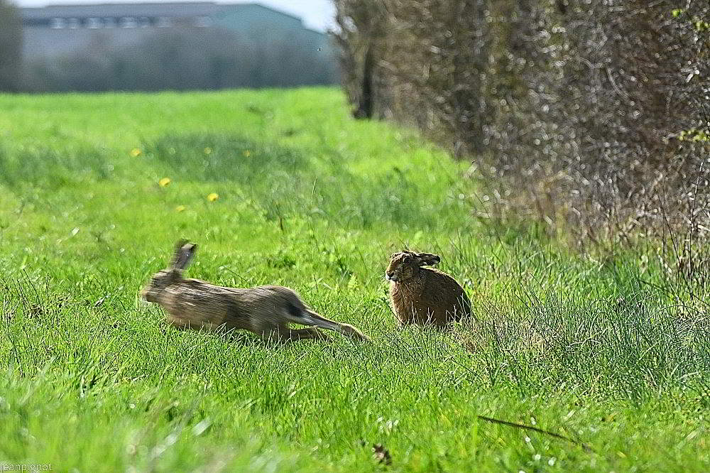 N9 courage fuillont_001N9 courage fuillont.JPG