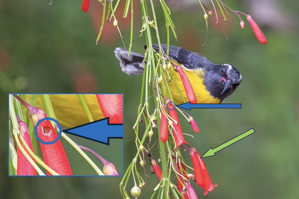 11 sucrier_autresSD.jpg