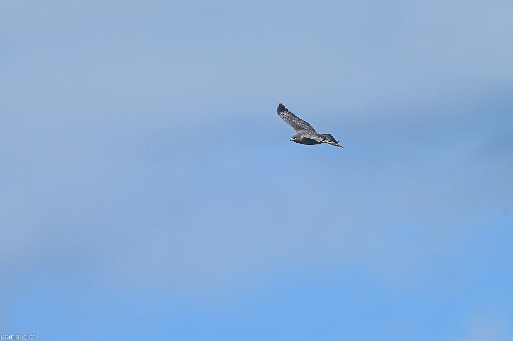 N5 une buse aproche.JPG