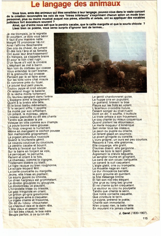 vocabulaire du bestiaire 001_1_03.jpg