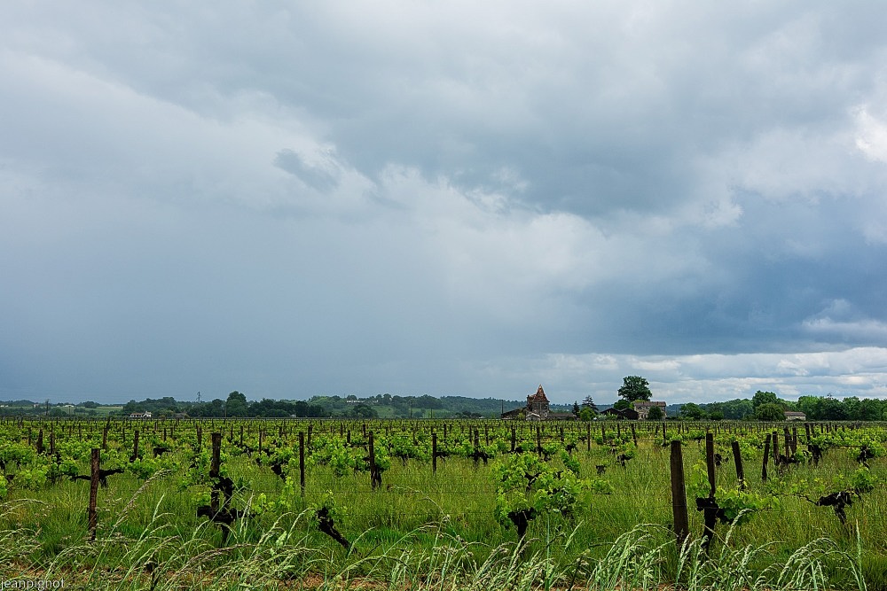 DSC_8348_001DSC_8348.JPG