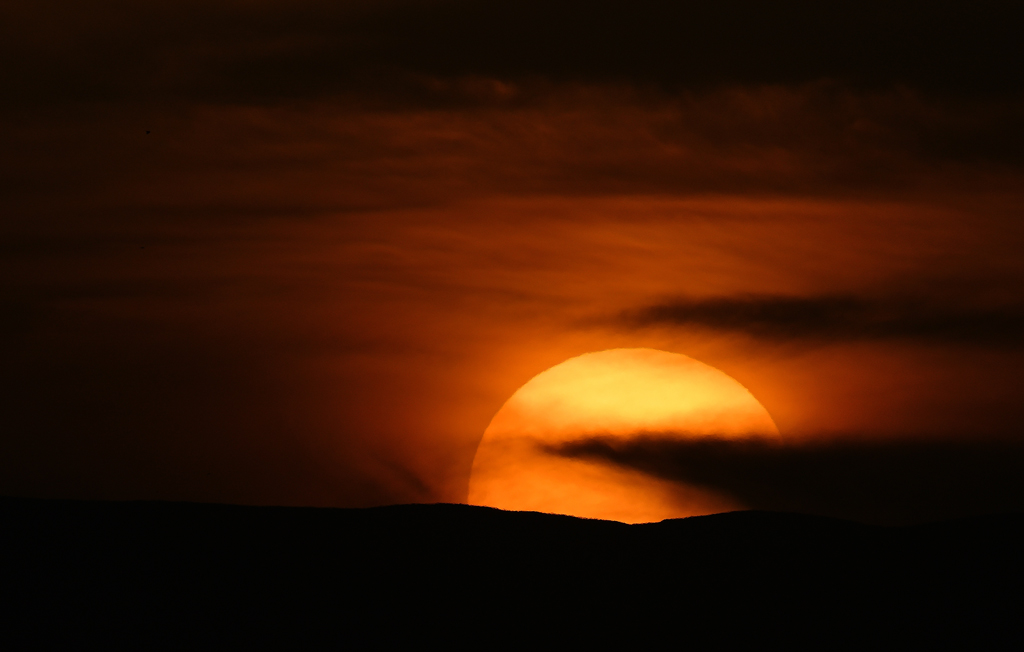 DSC_6935.jpg