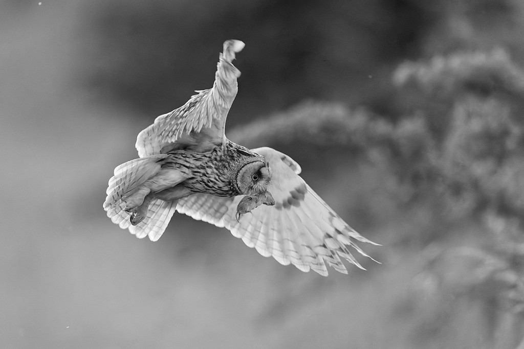 DSC_4884_DxO.jpg