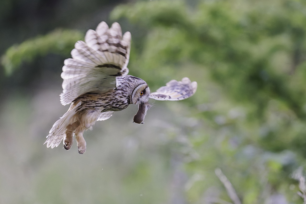 DSC_4888_DxO.jpg
