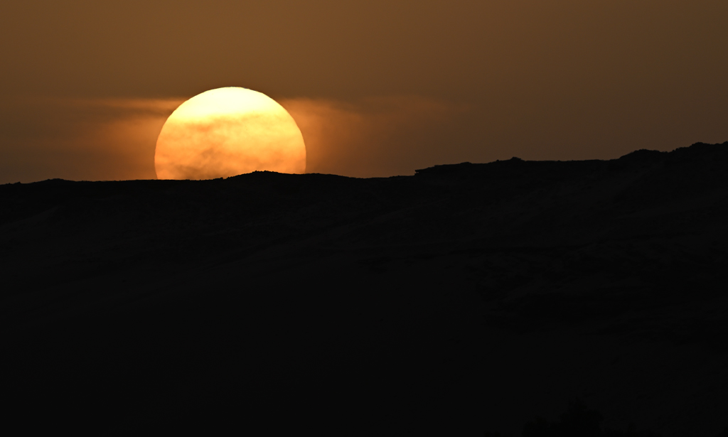 DSC_7889.jpg