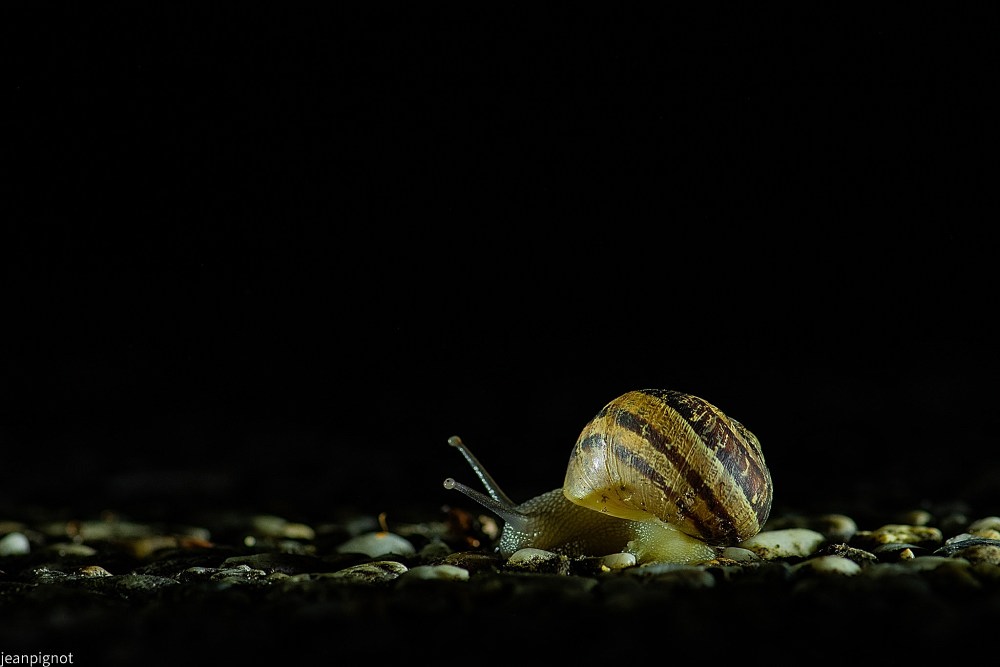 DSC_7705_001DSC_7705.JPG