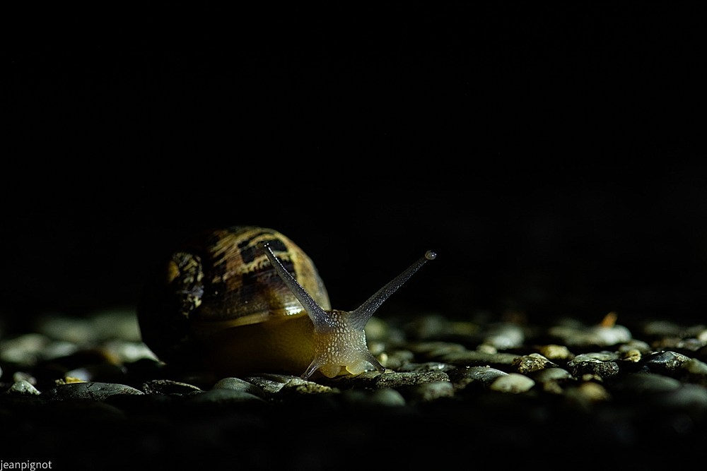 DSC_7718_001DSC_7718.JPG