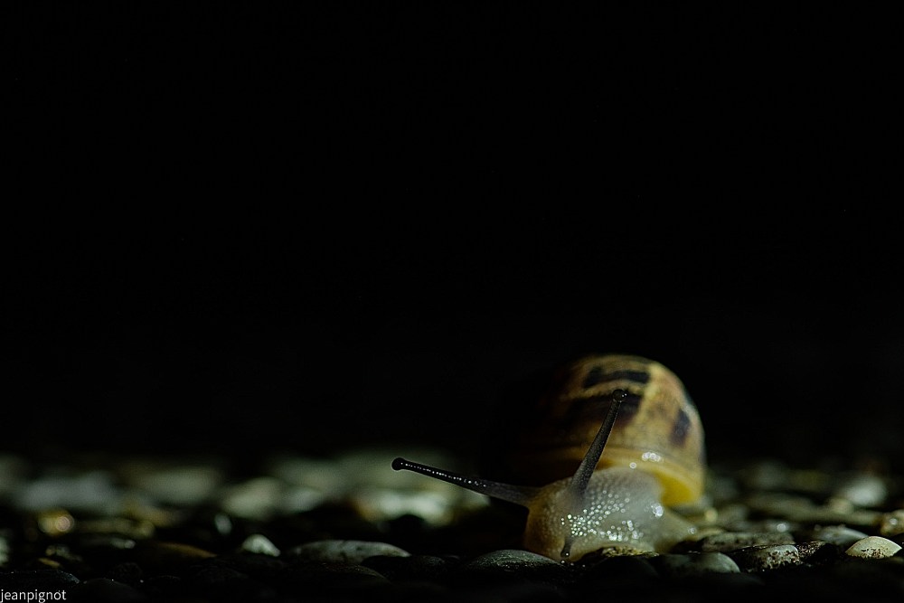 DSC_7722_001DSC_7722.JPG