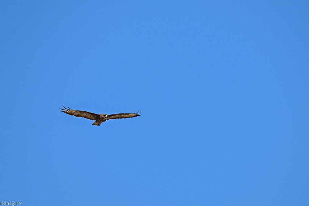 DSC_1015_001DSC_1015.JPG