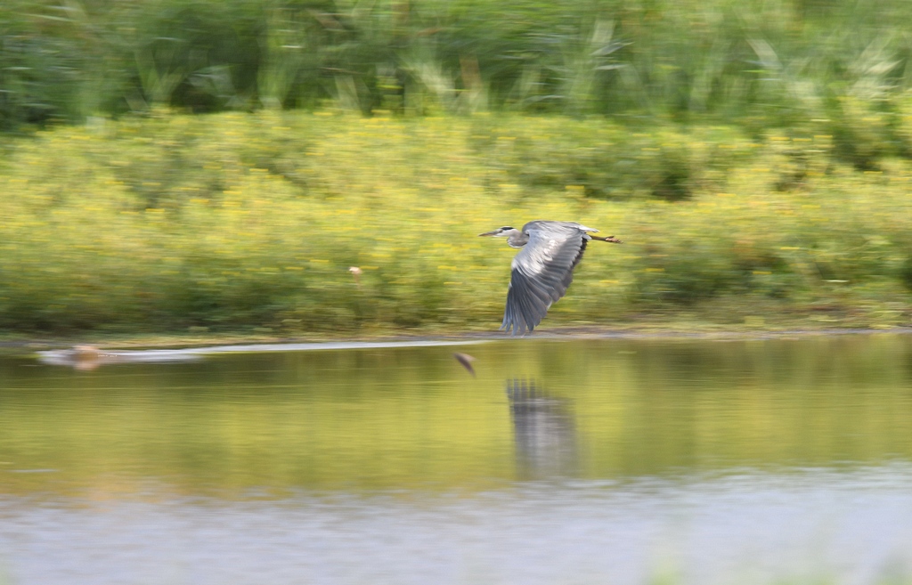 DSC_3459.jpg
