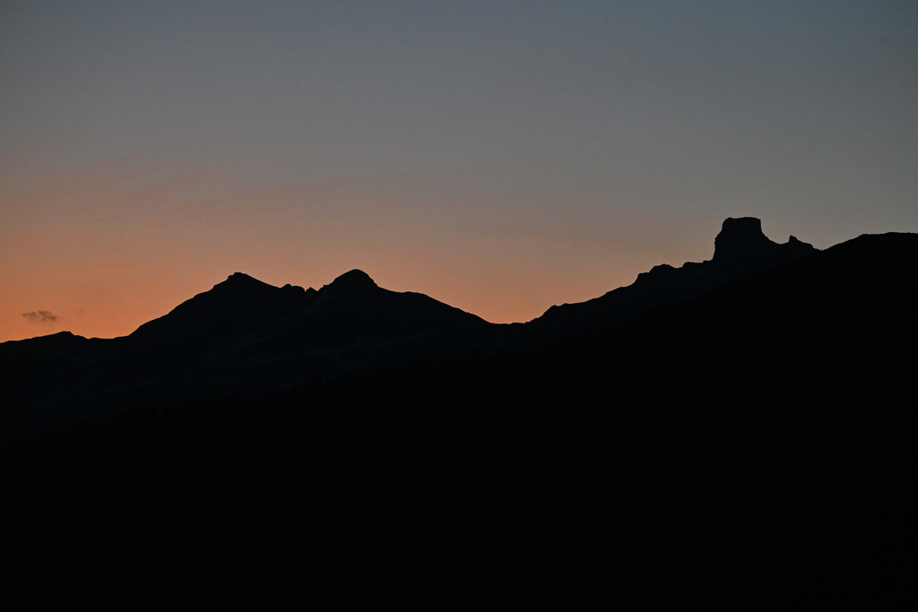 ZSC_0515.jpg