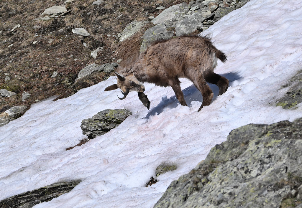 ZSC_0560.jpg