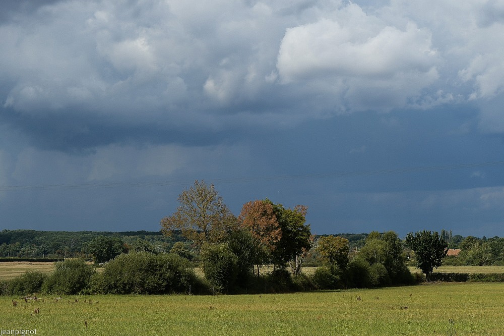 N1 paysage pour commmencer.JPG