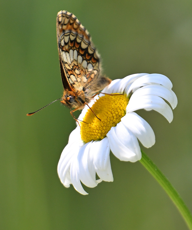 ZSC_1089.jpg