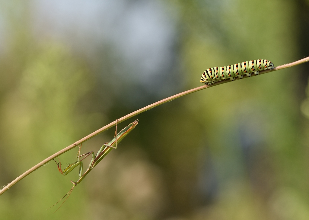 DSC_6403.JPG