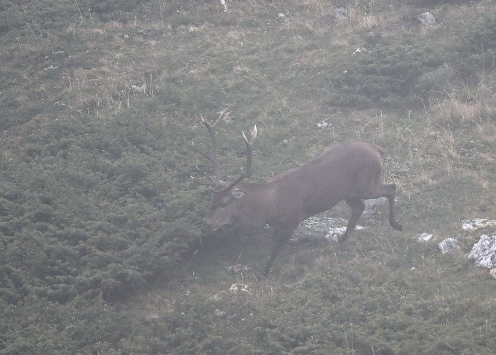 ZSC_3060.JPG