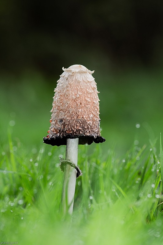 DSC_8687_001DSC_8687.JPG