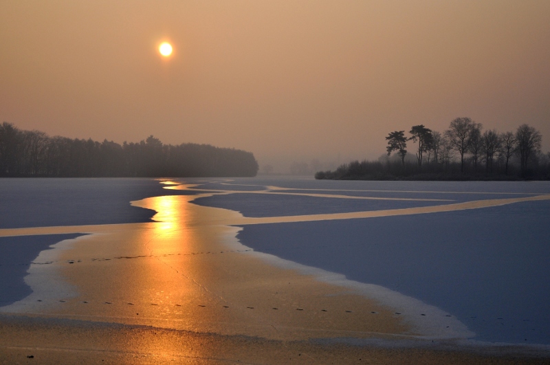 dsc_0560 (ModifiÃ©e_800).jpg