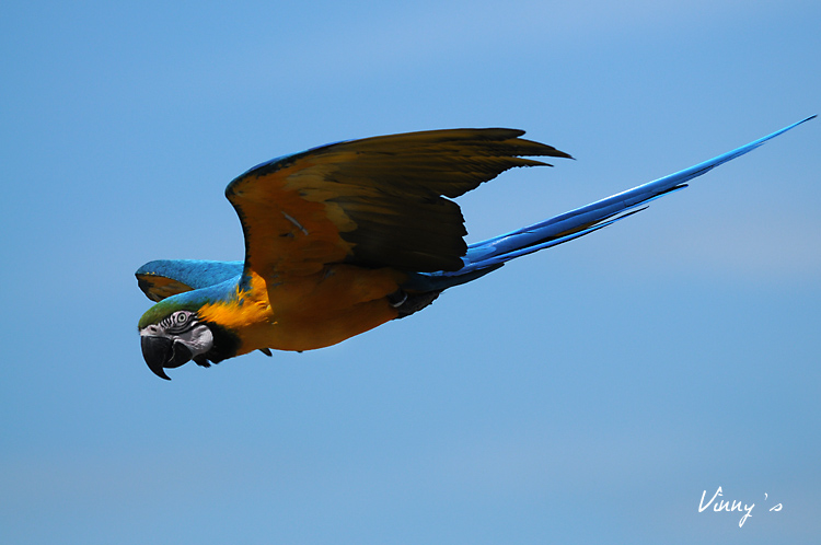DSC_3701.jpg