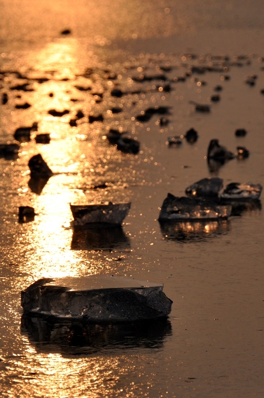 dsc_0595 (ModifiÃ©e_800).jpg