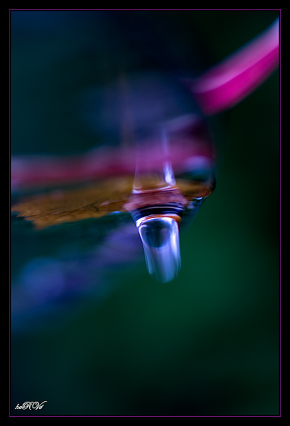 i&n68.jpg