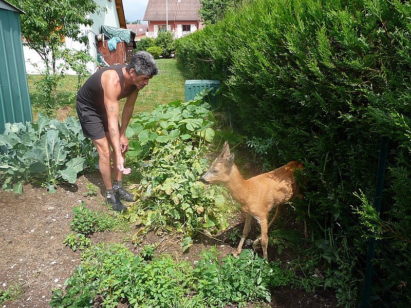 Photos Carole 042-1.jpg