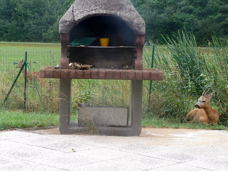 Photos Carole 018-1.jpg