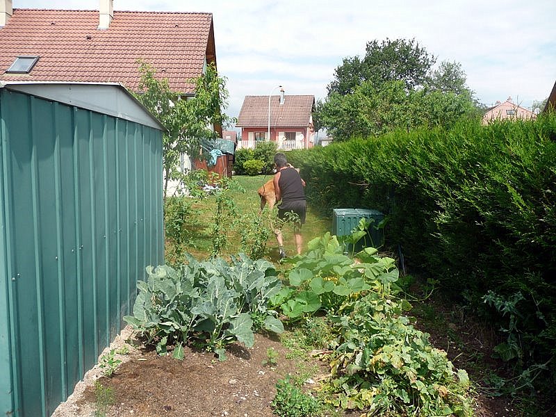 Photos Carole 043-1.jpg