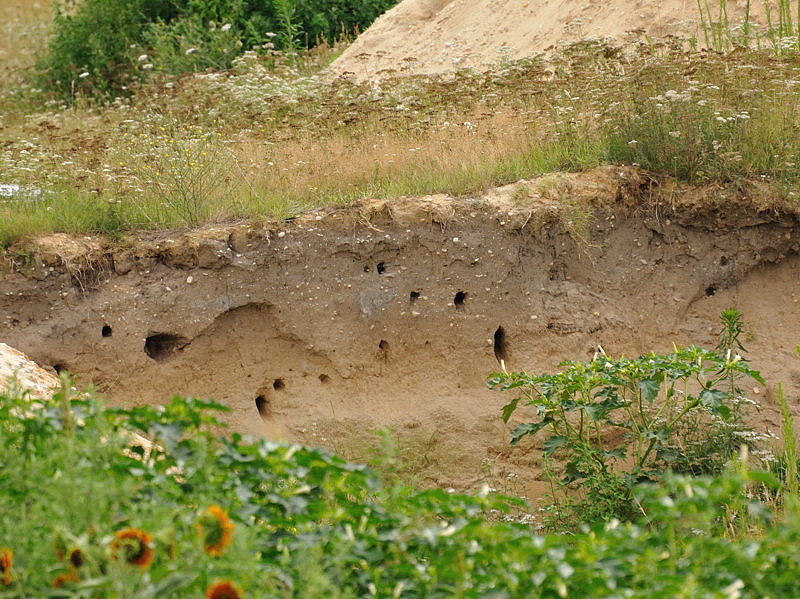 Exemple de site.jpg