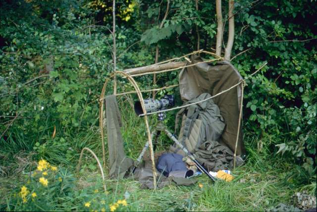 AFFUT ASSIS 1.jpg