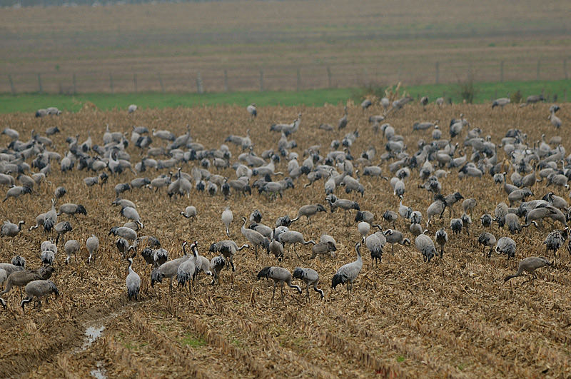 DSC_7163.jpg