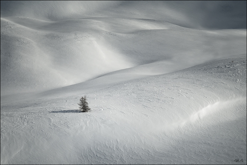 2010-02-14 14-43-33 - DSC_5194_800.jpg