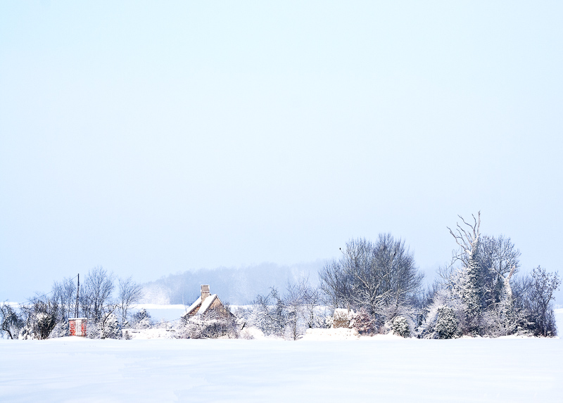 2010 01 07_2492 copie plus contrasté-Modifier.jpg