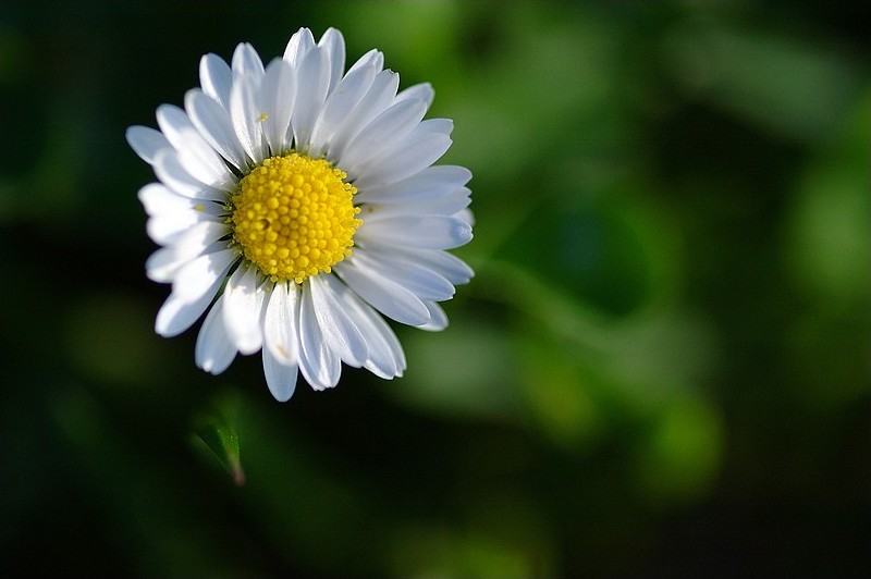 I&N - 200904 - 001.jpg