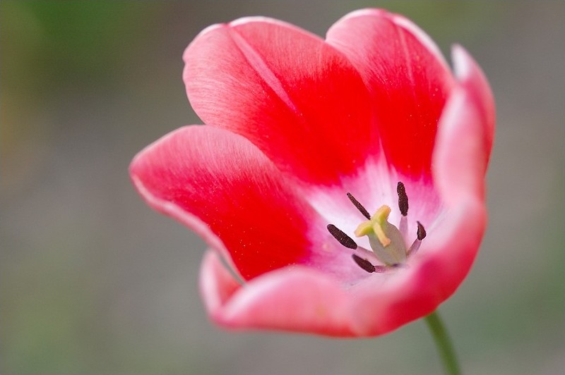 I&N - 200904 - 002.jpg