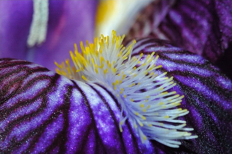 I&N - 200904 - 003.jpg