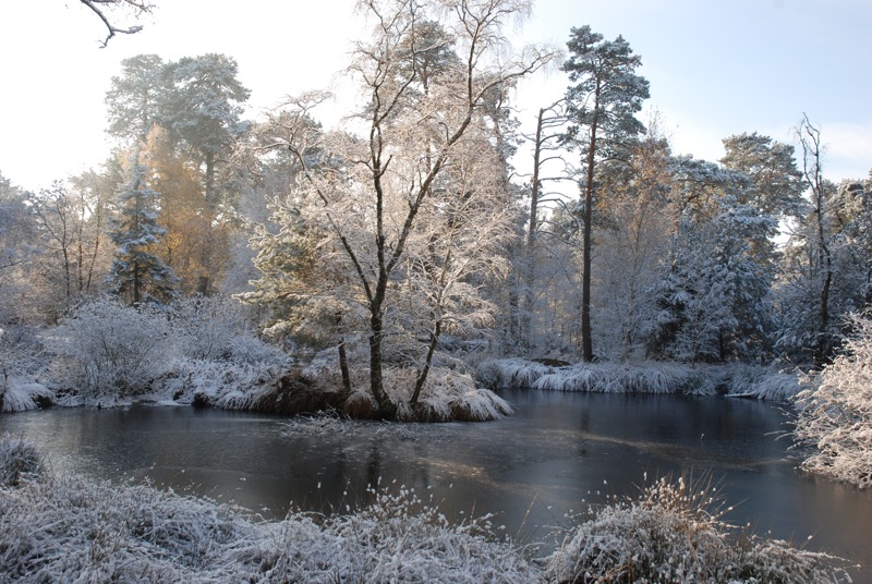 Mare aux Pigeons_2.jpg