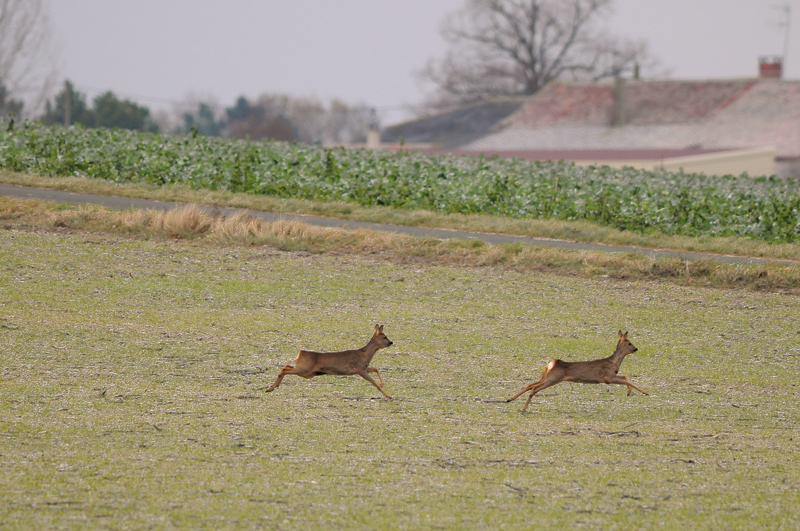 DSC_7476.jpg