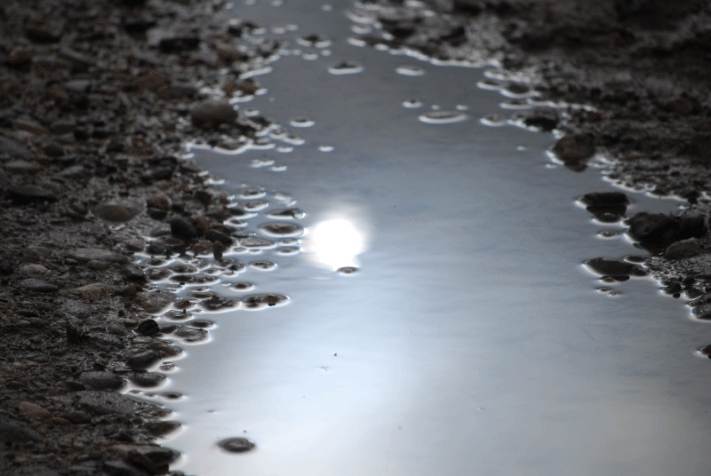 reflet.jpg