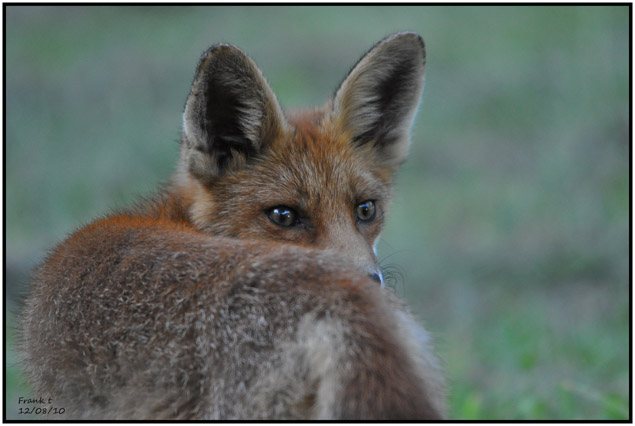 DSC_2494.jpg