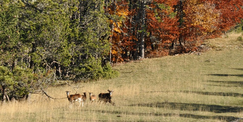 DSC_6412.JPG