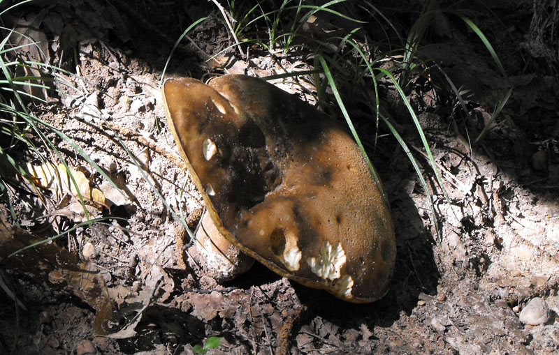 24-07-2010-303 B.jpg