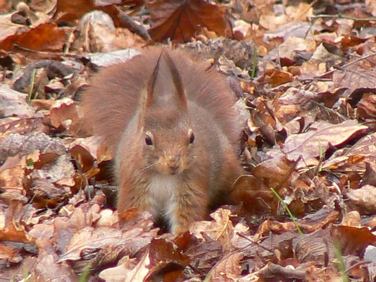2eme essaie retouche.jpg