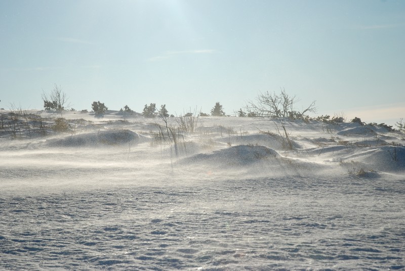 Copie de DSC_4308 b.jpg