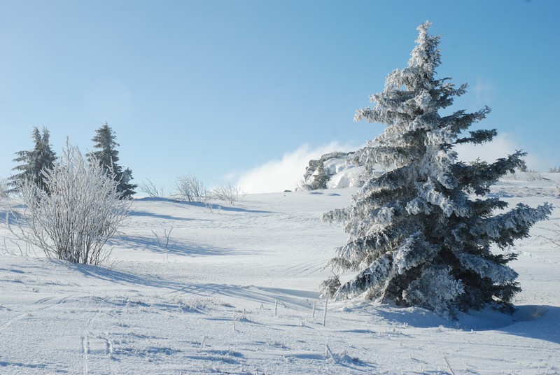 Copie de DSC_4067.JPG