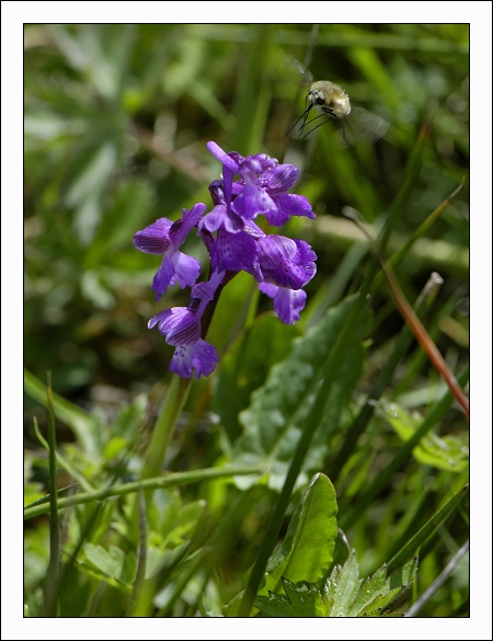 Brenne071.jpg