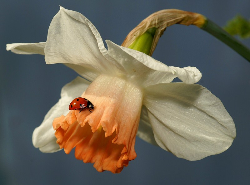 _DSC3227 [800x600].JPG