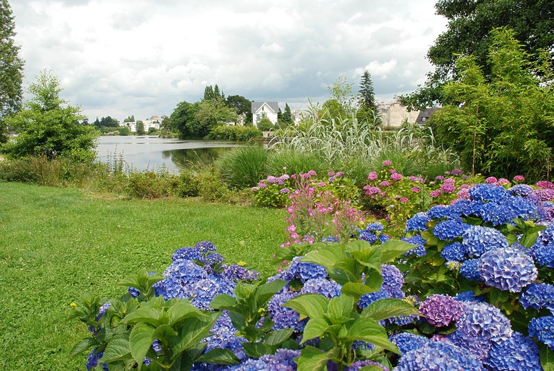 Copie de DSC_2964A.jpg